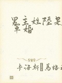 男主姓陆是首长 军婚
