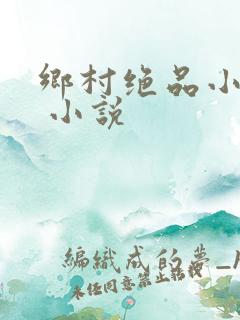 乡村绝品小神医 小说