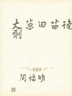大葱田苗后除草剂