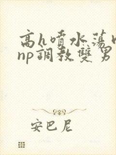 高h喷水荡肉爽np调教双男主