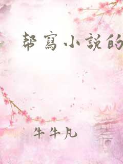 帮写小说的软件