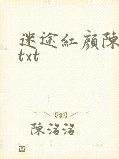 迷途红颜陈梦洁txt