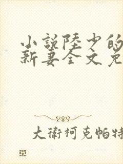小说陆少的暖婚新妻全文免费阅读