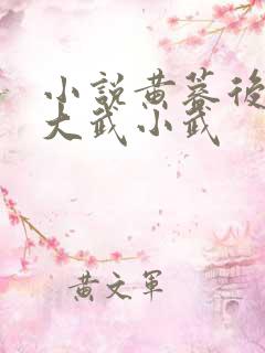 小说黄蓉后传之大武小武
