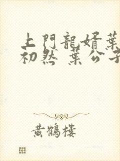 上门龙婿叶辰萧初然 叶公子