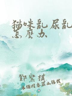 猫咪乱尿乱拉屎怎么办