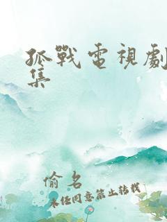 孤战电视剧多少集