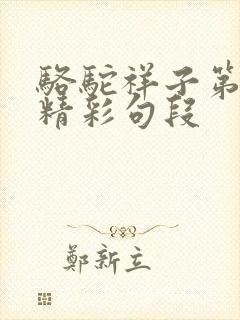 骆驼祥子第七章精彩句段 骆驼祥子第七章精彩句段