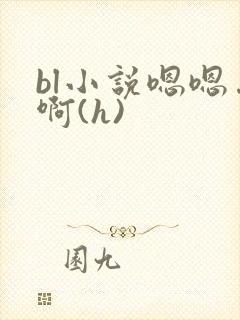 bl小说嗯嗯…啊(h) bl小说嗯嗯…啊(h)
