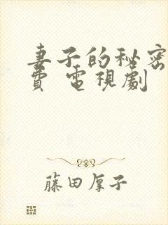 妻子的秘密 免费 电视剧