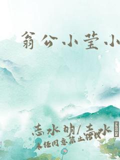 翁公小莹小说