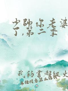 少帅你老婆又跑了,第二季