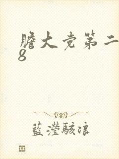 胆大党第二季第8