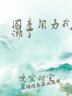 国产用力我要高潮了