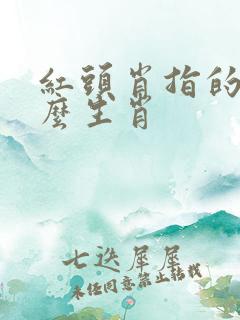 红头肖指的是什么生肖