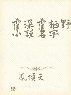 霍深霍栖野夏稚小说名字