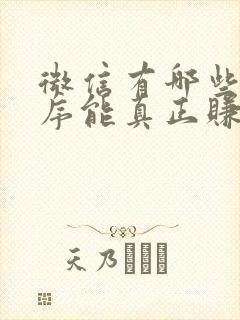 微信有哪些小程序能真正赚到钱