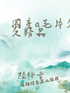 国产a毛片久久久精品