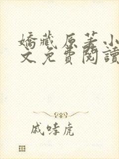 娇藏原著小说全文免费阅读