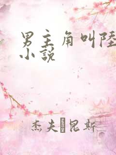 男主角叫陆鸣的小说