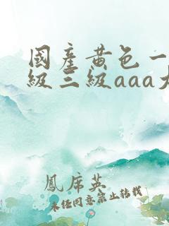 国产黄色一级二级三级aaa大片
