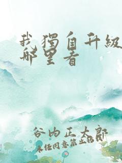 我独自升级原著哪里看