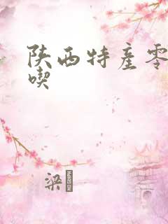 陕西特产零食小吃