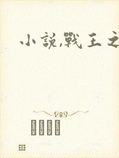 小说,战王之王