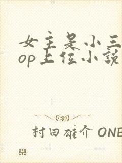 女主是小三的pop上位小说