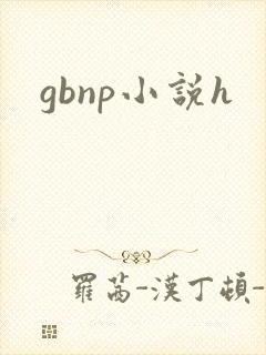 gbnp小说h