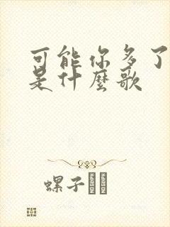 可能你多了爱恨是什么歌