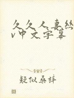 久久人妻丝袜av中文字幕