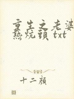 重生之老婆孩子热炕头 txt
