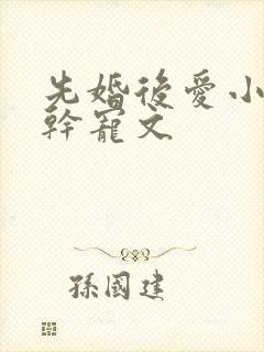先婚后爱小说高干宠文