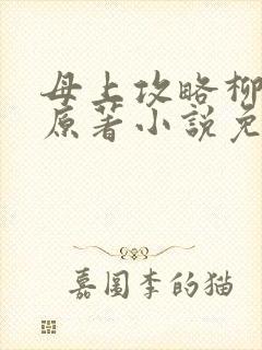 母上攻略柳如裳原著小说免费阅读