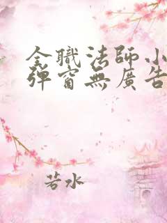 全职法师小说无弹窗无广告
