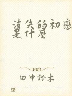 消失的初恋结局是什么