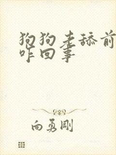 狗狗老舔前爪毛咋回事
