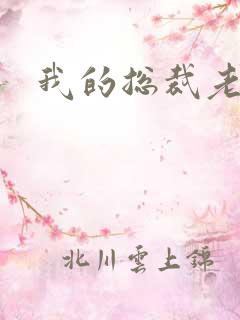 我的总裁老妈