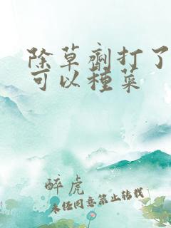 除草剂打了多久可以种菜