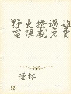 野火撩过姐姐心电视剧免费观看完整