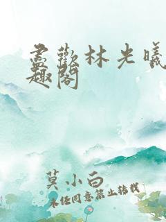 尽欢林光曦 笔趣阁