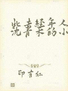 此去经年人未还沈青禾的小说