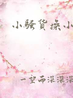 小骚货操小说