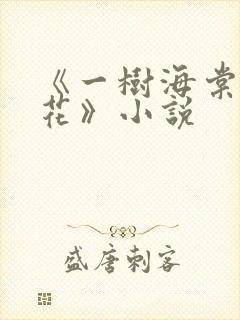 《一树海棠压梨花》小说