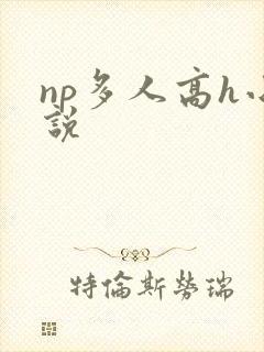 np多人高h小说