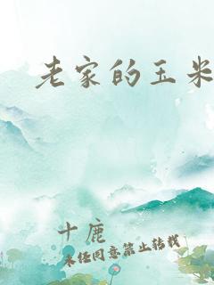老家的玉米地