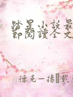 踏星小说最新章节阅读全文
