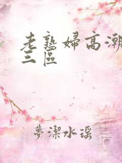 老熟妇高潮二区三区