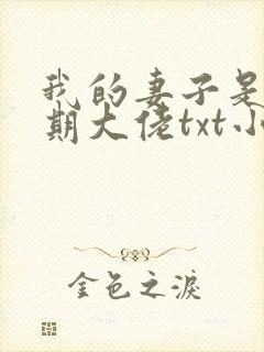 我的妻子是大乘期大佬txt小说